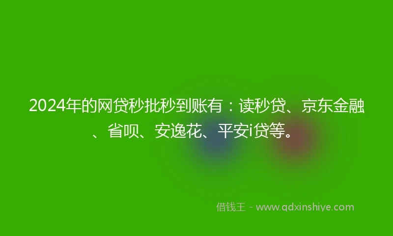 2024年的网贷秒批秒到账有：读秒贷、京东金融、省呗、安逸花、平安i贷等。