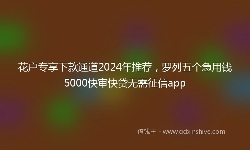 花户专享下款通道2024年推荐，罗列五个急用钱5000快审快贷无需征信app