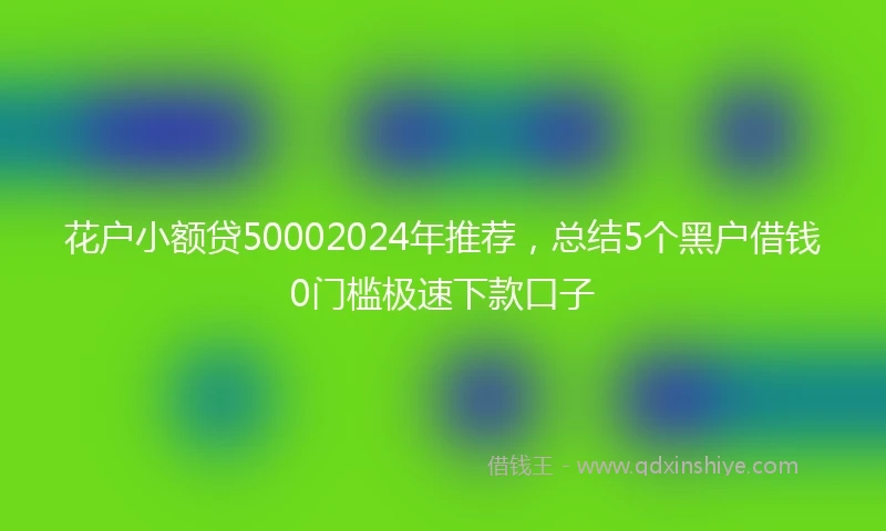 花户小额贷50002024年推荐，总结5个黑户借钱0门槛极速下款口子