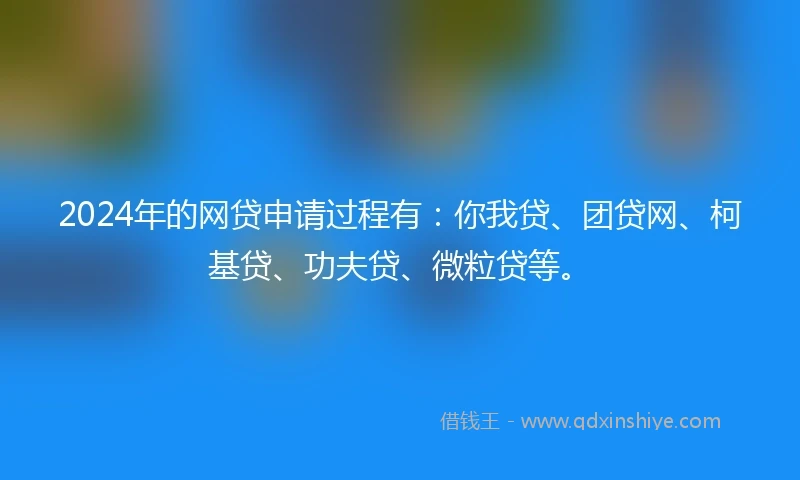 2024年的网贷申请过程有：你我贷、团贷网、柯基贷、功夫贷、微粒贷等。