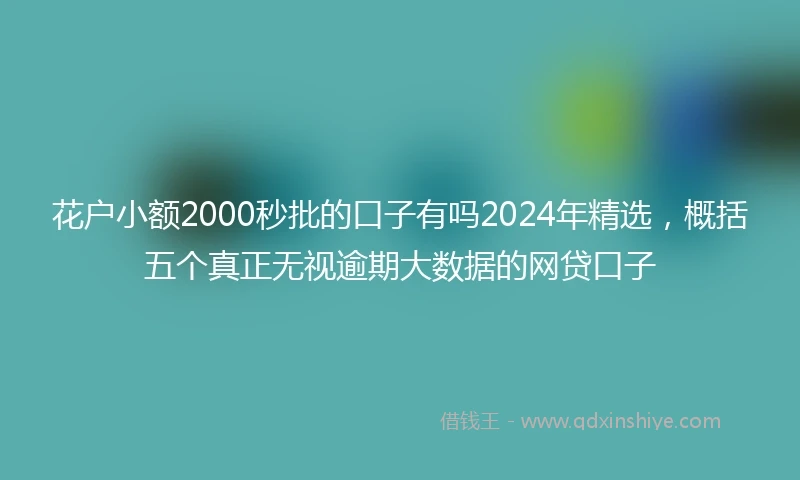 花户小额2000秒批的口子有吗2024年精选，概括五个真正无视逾期大数据的网贷口子
