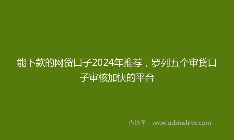 能下款的网贷口子2024年推荐，罗列五个审贷口子审核加快的平台