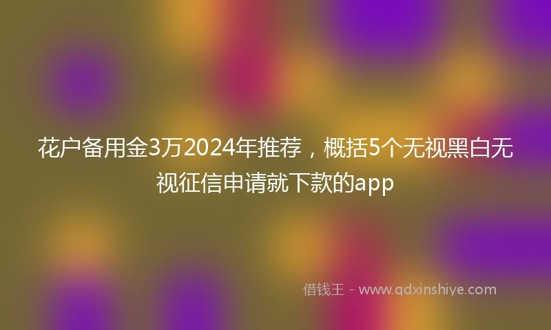 花户备用金3万2024年推荐，概括5个无视黑白无视征信申请就下款的app