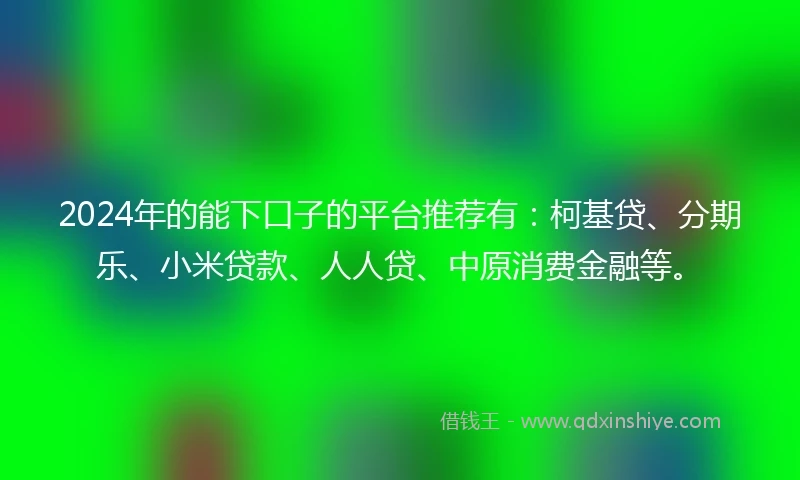 2024年的能下口子的平台推荐有：柯基贷、分期乐、小米贷款、人人贷、中原消费金融等。