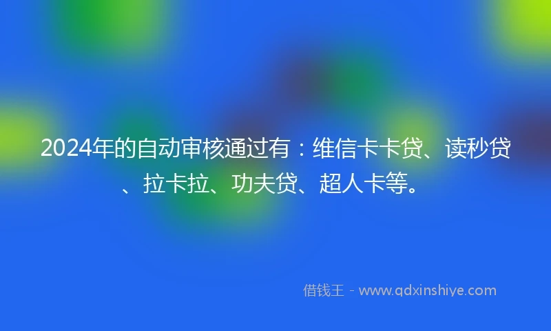 2024年的自动审核通过有：维信卡卡贷、读秒贷、拉卡拉、功夫贷、超人卡等。