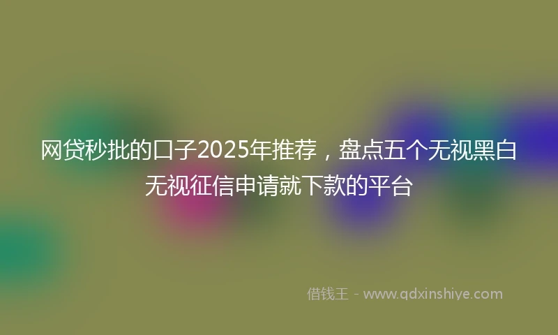 网贷秒批的口子2025年推荐，盘点五个无视黑白无视征信申请就下款的平台