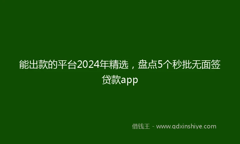 能出款的平台2024年精选，盘点5个秒批无面签贷款app