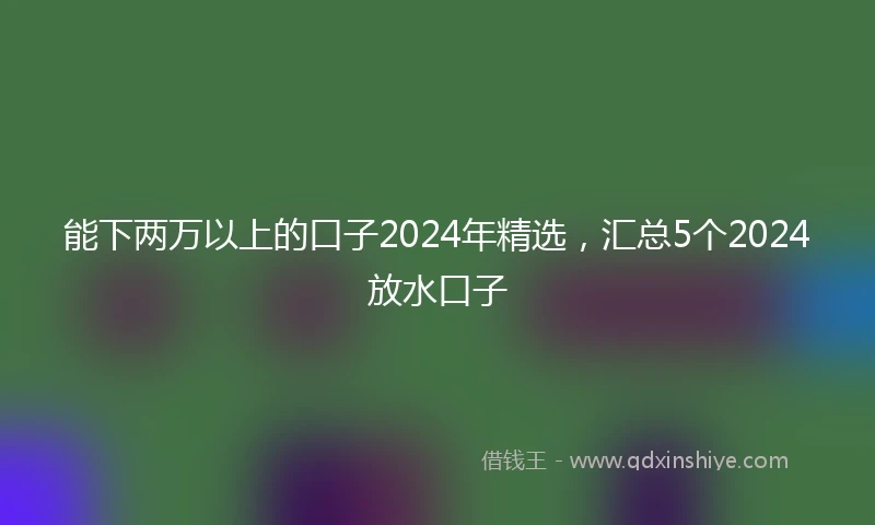 能下两万以上的口子2024年精选，汇总5个2024放水口子