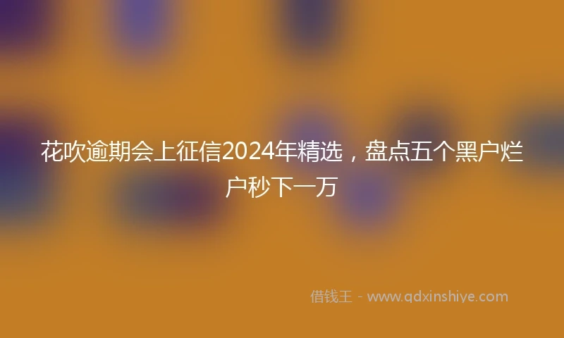 花吹逾期会上征信2024年精选，盘点五个黑户烂户秒下一万