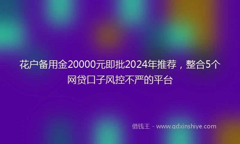 花户备用金20000元即批2024年推荐，整合5个网贷口子风控不严的平台