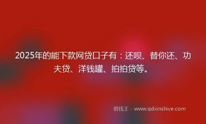 2025年的能下款网贷口子有：还呗、替你还、功夫贷、洋钱罐、拍拍贷等。