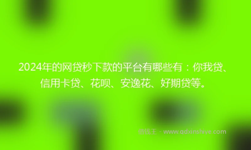 2024年的网贷秒下款的平台有哪些有：你我贷、信用卡贷、花呗、安逸花、好期贷等。