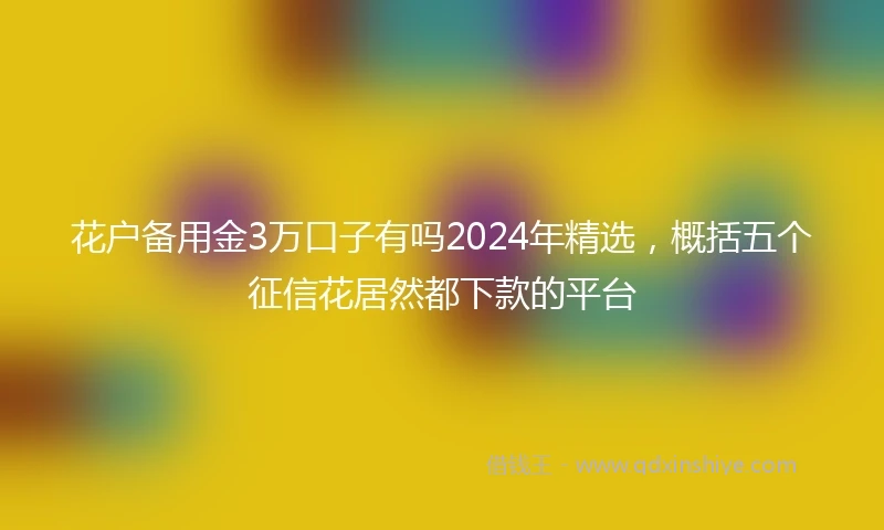 花户备用金3万口子有吗2024年精选，概括五个征信花居然都下款的平台