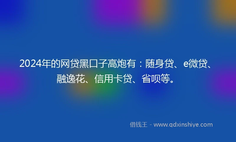 2024年的网贷黑口子高炮有：随身贷、e微贷、融逸花、信用卡贷、省呗等。