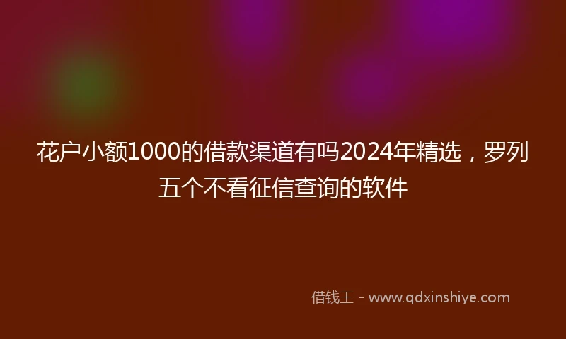 花户小额1000的借款渠道有吗2024年精选，罗列五个不看征信查询的软件