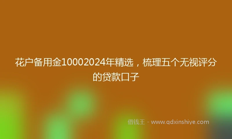 花户备用金10002024年精选，梳理五个无视评分的贷款口子