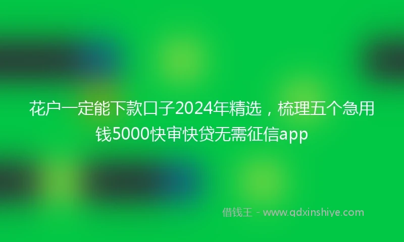 花户一定能下款口子2024年精选，梳理五个急用钱5000快审快贷无需征信app
