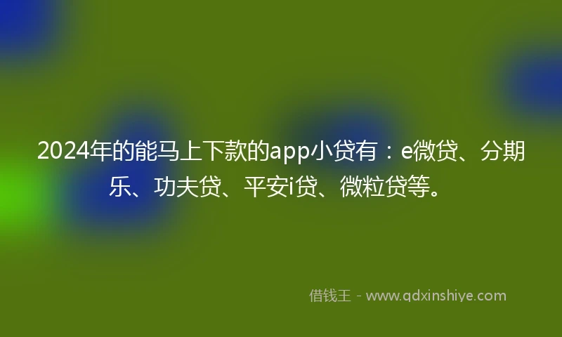 2024年的能马上下款的app小贷有：e微贷、分期乐、功夫贷、平安i贷、微粒贷等。