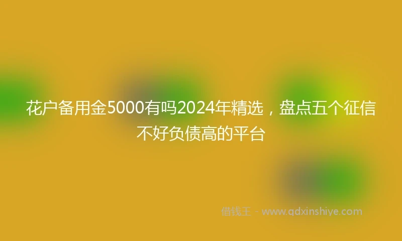 花户备用金5000有吗2024年精选，盘点五个征信不好负债高的平台
