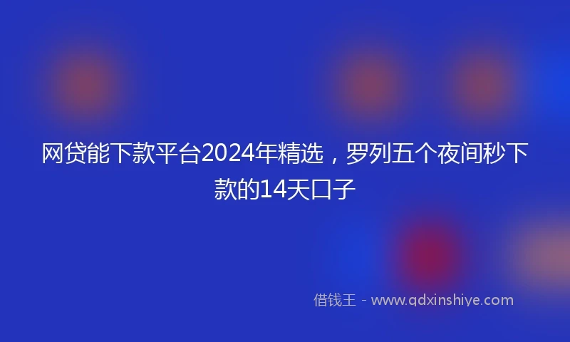 网贷能下款平台2024年精选，罗列五个夜间秒下款的14天口子
