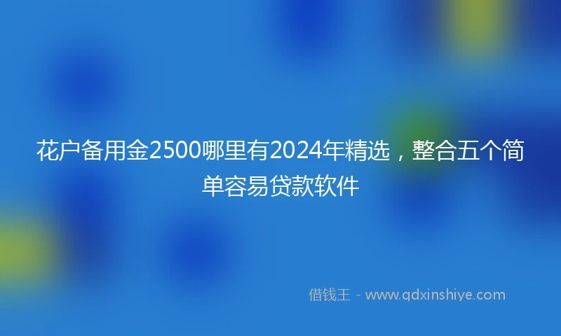 花户备用金2500哪里有2024年精选，整合五个简单容易贷款软件