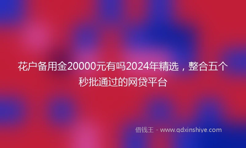 花户备用金20000元有吗2024年精选，整合五个秒批通过的网贷平台