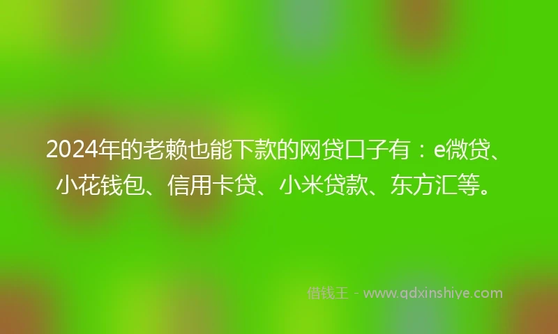 2024年的老赖也能下款的网贷口子有：e微贷、小花钱包、信用卡贷、小米贷款、东方汇等。