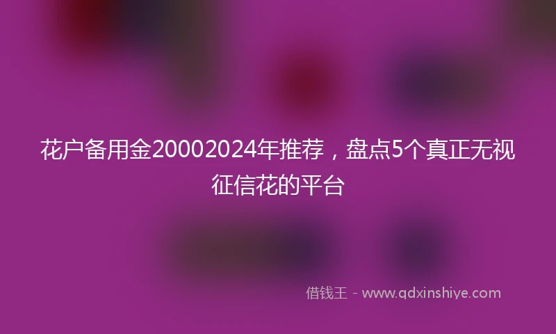 花户备用金20002024年推荐，盘点5个真正无视征信花的平台