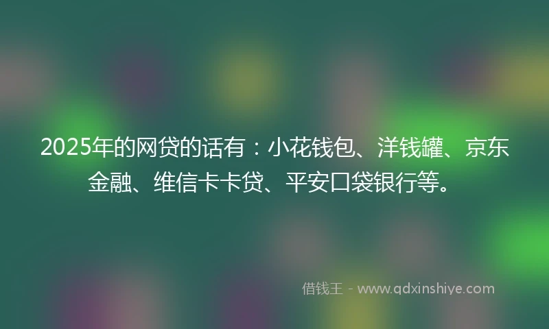 2025年的网贷的话有：小花钱包、洋钱罐、京东金融、维信卡卡贷、平安口袋银行等。