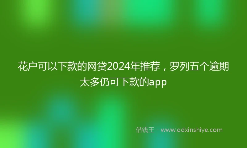 花户可以下款的网贷2024年推荐，罗列五个逾期太多仍可下款的app