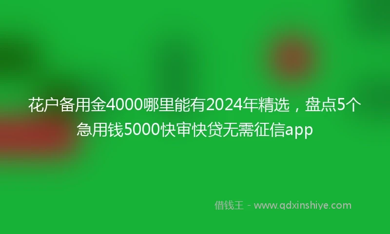 花户备用金4000哪里能有2024年精选，盘点5个急用钱5000快审快贷无需征信app