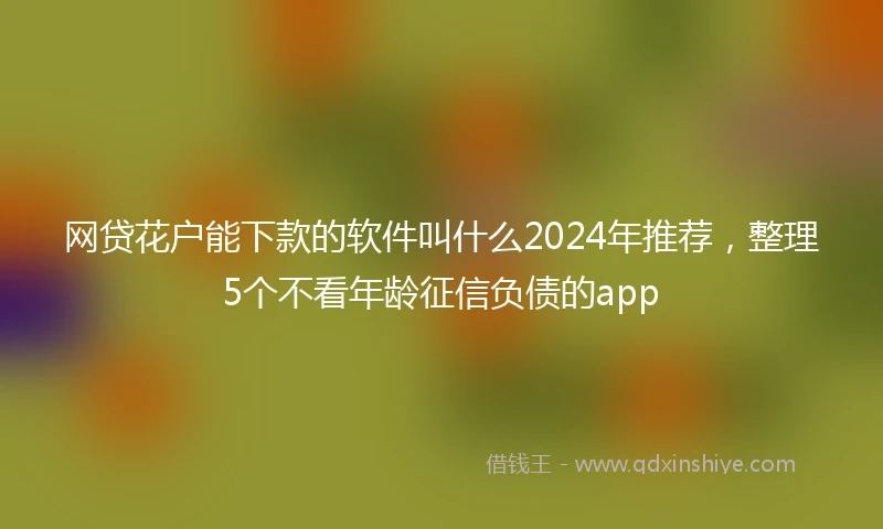 网贷花户能下款的软件叫什么2024年推荐，整理5个不看年龄征信负债的app