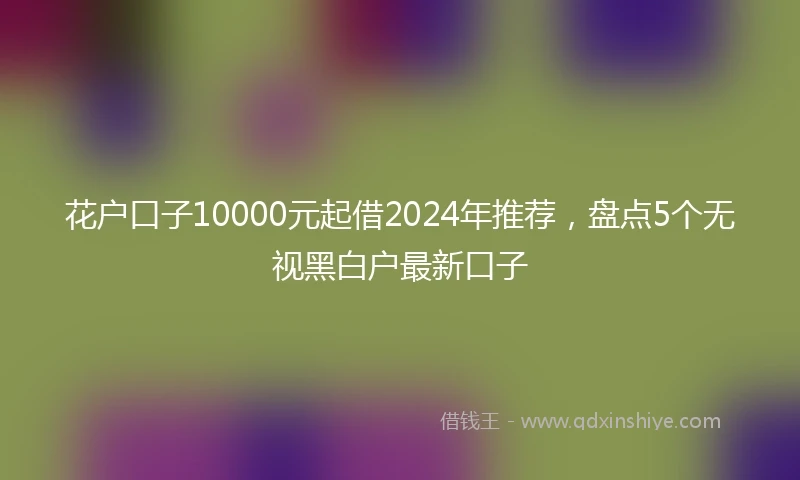 花户口子10000元起借2024年推荐，盘点5个无视黑白户最新口子