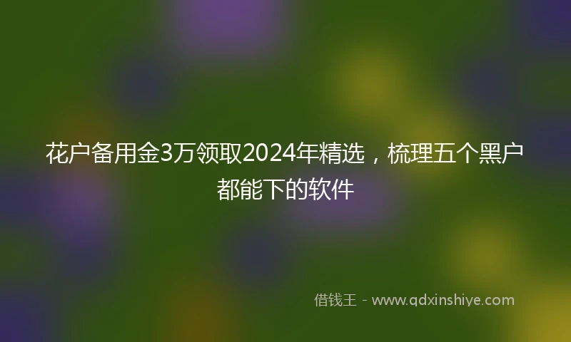 花户备用金3万领取2024年精选，梳理五个黑户都能下的软件