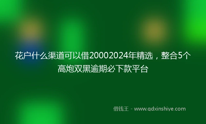 花户什么渠道可以借20002024年精选，整合5个高炮双黑逾期必下款平台