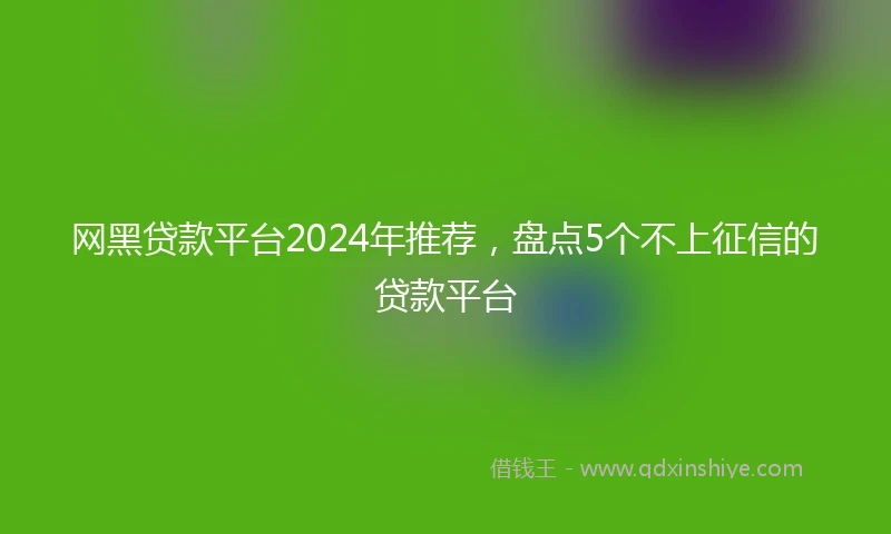 网黑贷款平台2024年推荐，盘点5个不上征信的贷款平台