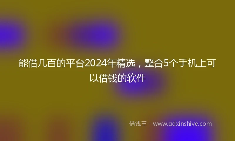 能借几百的平台2024年精选，整合5个手机上可以借钱的软件