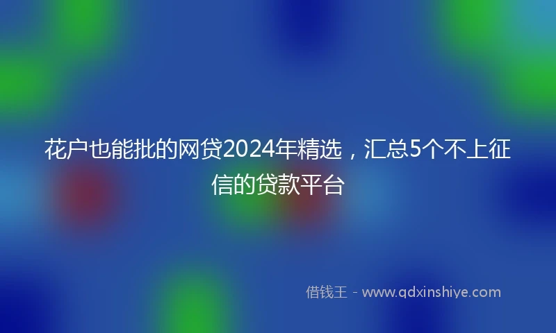 花户也能批的网贷2024年精选，汇总5个不上征信的贷款平台