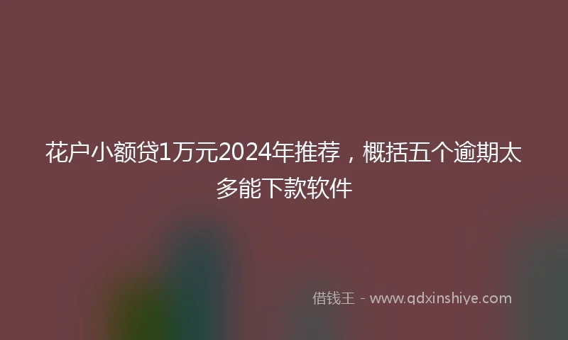花户小额贷1万元2024年推荐,概括五个逾期太多能下款软件