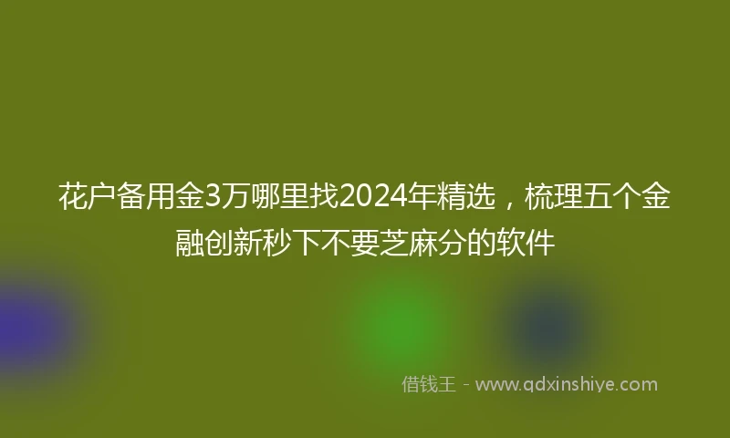 花户备用金3万哪里找2024年精选，梳理五个金融创新秒下不要芝麻分的软件