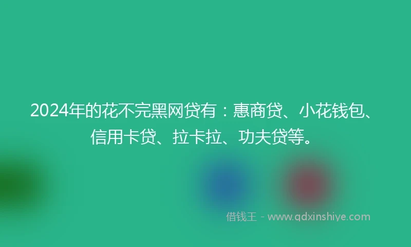 2024年的花不完黑网贷有：惠商贷、小花钱包、信用卡贷、拉卡拉、功夫贷等。