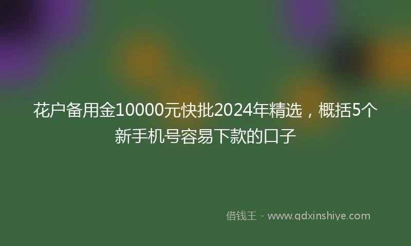 花户备用金10000元快批2024年精选，概括5个新手机号容易下款的口子