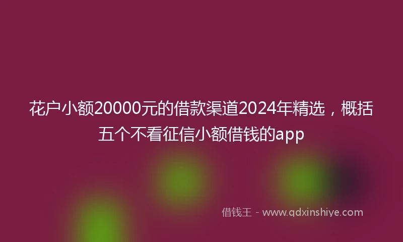 花户小额20000元的借款渠道2024年精选，概括五个不看征信小额借钱的app