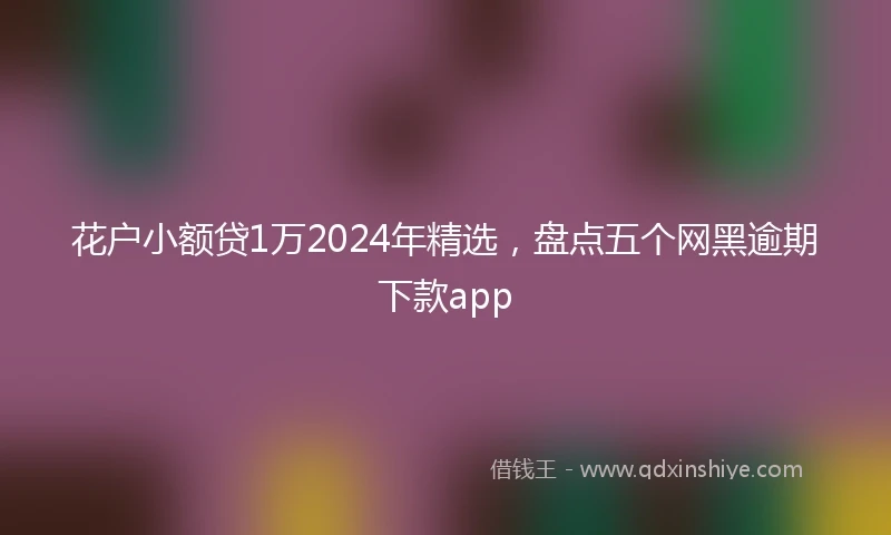 花户小额贷1万2024年精选，盘点五个网黑逾期下款app