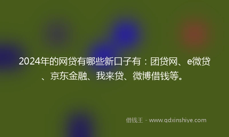 2024年的网贷有哪些新口子有：团贷网、e微贷、京东金融、我来贷、微博借钱等。