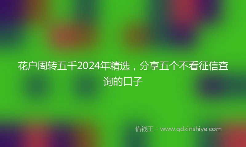 花户周转五千2024年精选，分享五个不看征信查询的口子