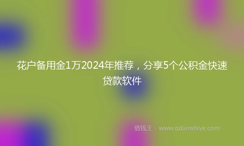 花户备用金1万2024年推荐，分享5个公积金快速贷款软件