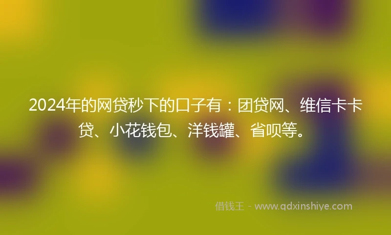 2024年的网贷秒下的口子有：团贷网、维信卡卡贷、小花钱包、洋钱罐、省呗等。