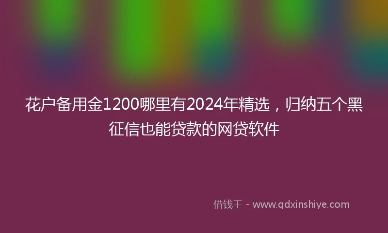 花户备用金1200哪里有2024年精选，归纳五个黑征信也能贷款的网贷软件