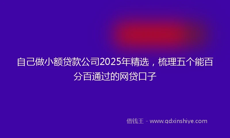 自己做小额贷款公司2025年精选，梳理五个能百分百通过的网贷口子